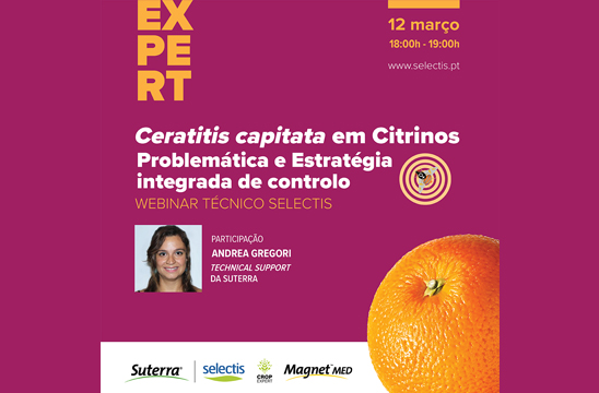 Citrinos