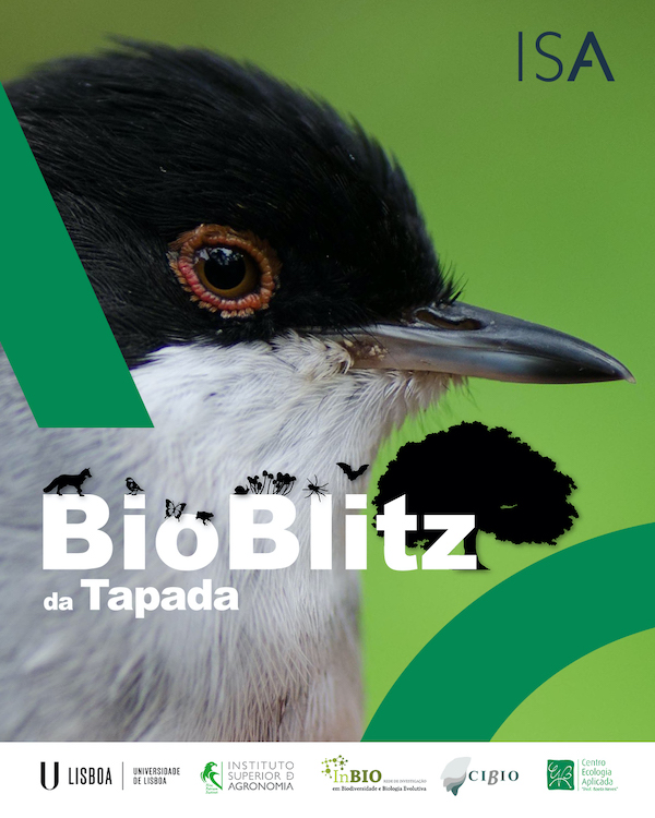 BIOBLITZ