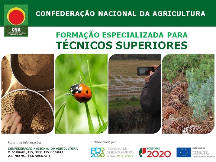 Agricultura precisão