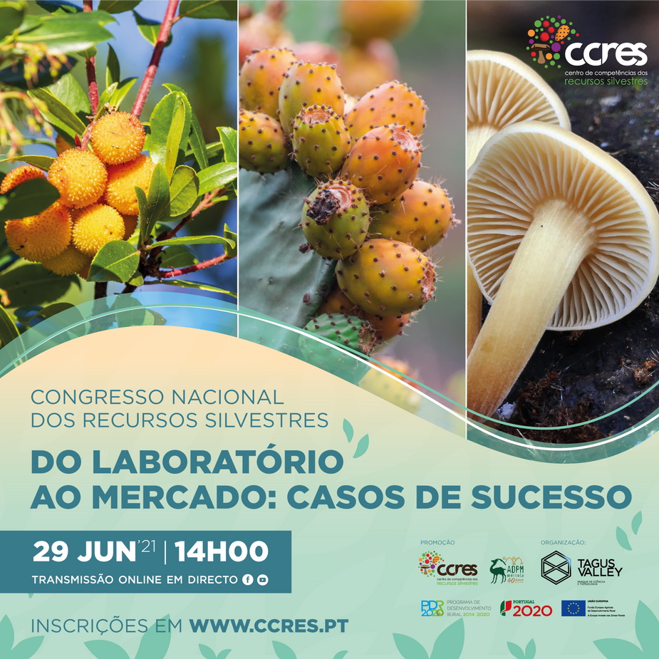 alimentação