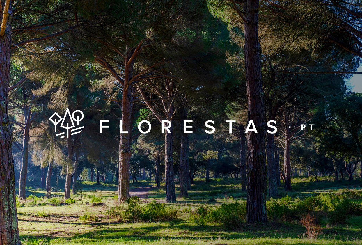 florestas