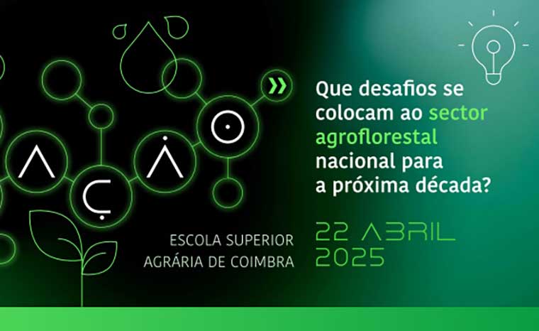 Conferência coimbra