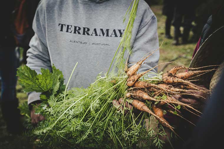 Top farmers
