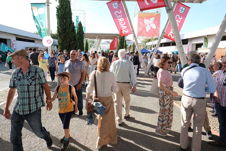 Ovibeja