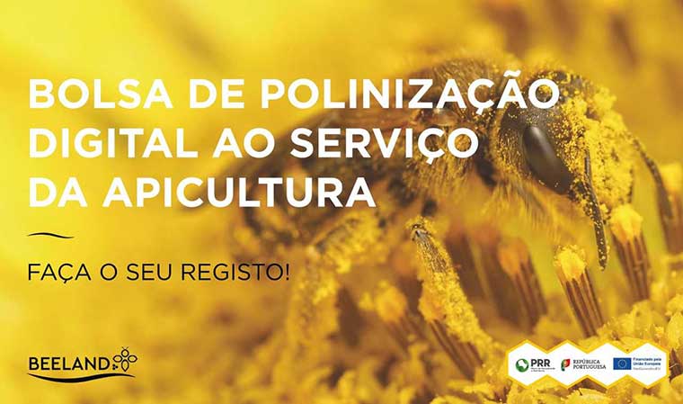 Bolsa Apícula