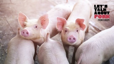 Portugal apresenta primeiras certificações em bem-estar animal de suínos