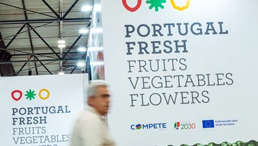 Frutas, legumes e flores portugueses atingem os 2300 milhões de euros de exportações