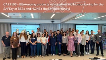 Universidade de Coimbra lidera projeto europeu focado na saúde das abelhas melíferas e no apoio a uma apicultura sustentável
