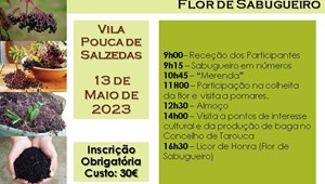 Workshop sobre a Cultura do Sabugueiro