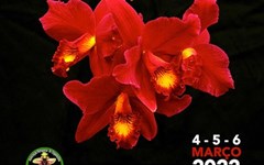 11.ª Exposição Internacional de Orquídeas do Porto