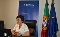 Ministra da Agricultura: «Orçamento do Estado utilizado para garantir que agricultura não para»