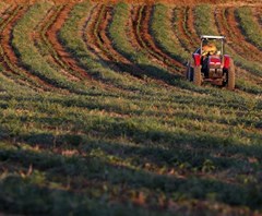 Publicada a Estratégia Nacional para os Efluentes Agropecuários e Agroindustriais (ENEAPAI 2030)