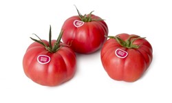 Tomate Monterosa foi eleito o melhor produto natural e ecológico