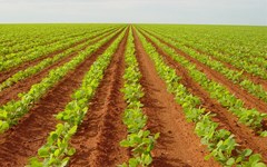 Fórum Agrogarante “Conversas de Agricultura” a 21 de novembro em Leiria