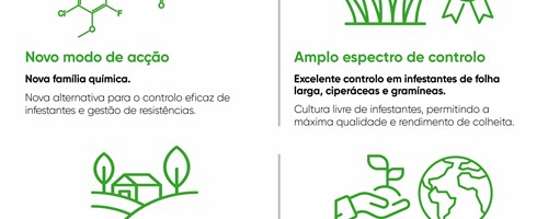 Loyant - o novo herbicida para a cultura do arroz obtém registo definitivo