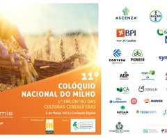 Abertas as inscrições para o 11º Colóquio Nacional do Milho 2021