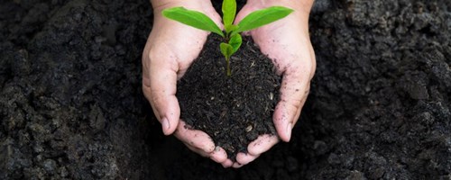 Descubra os mistérios do Solo na 2ª Edição da EIT Food RIS Inspire HealthySoil4Life Summer School