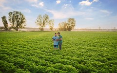 PepsiCO quer expandir práticas de agricultura regenerativa para 3 milhões de hectares até 2030