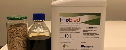 PROBLAD, novo biofungicida 100% português derivado do tremoço obtém autorização em culturas-chave