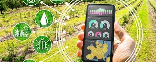 Smart Farm Colab lidera Consórcio para criar Pólo de Inovação Digital (DIH)