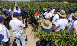 Academia de Biológicos Syngenta forma parceiros da distribuição para a agricultura do futuro