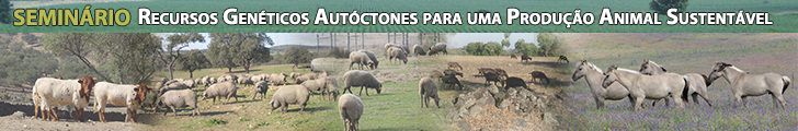 Seminario