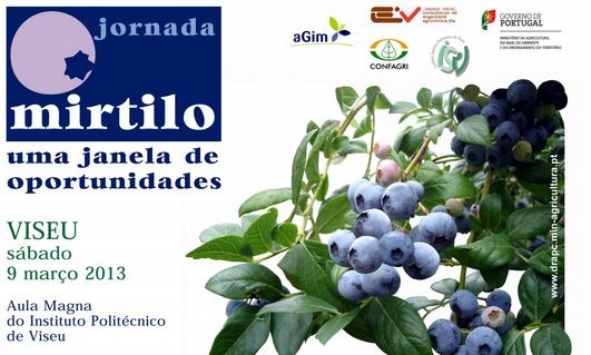 cartaz