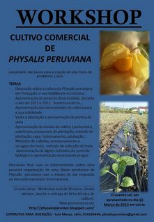 programa_leiria