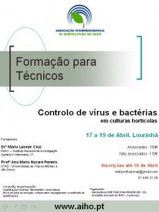 vírus e bactérias