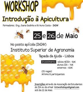 workshop apicultura