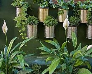 jardim-vertical-com-latas