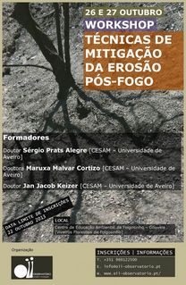 Poster_Técnicas-de-mitigação-após-fogo