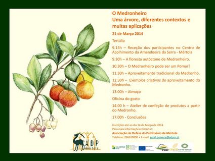 medronheiro cartaz