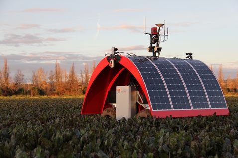 Ladybird-Robotics-in-Cowra-field-1200