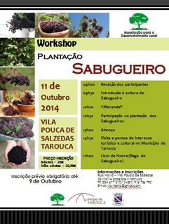 workshop plantação