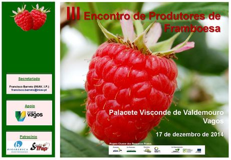 III Encontro de Produtores de Framboesa
