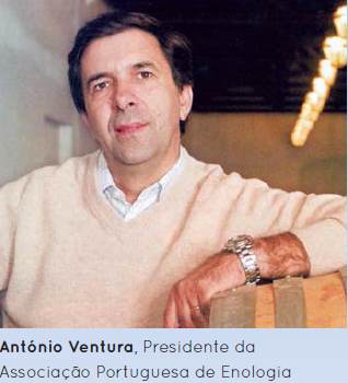 antonio-ventura-ape-enologia
