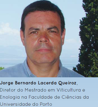 jorge-bernardo-lacerda-queiroz-viticultura