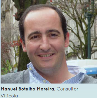 manuel-botelho-moreira-consultor-viticola