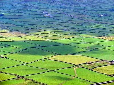 acores-agricultura