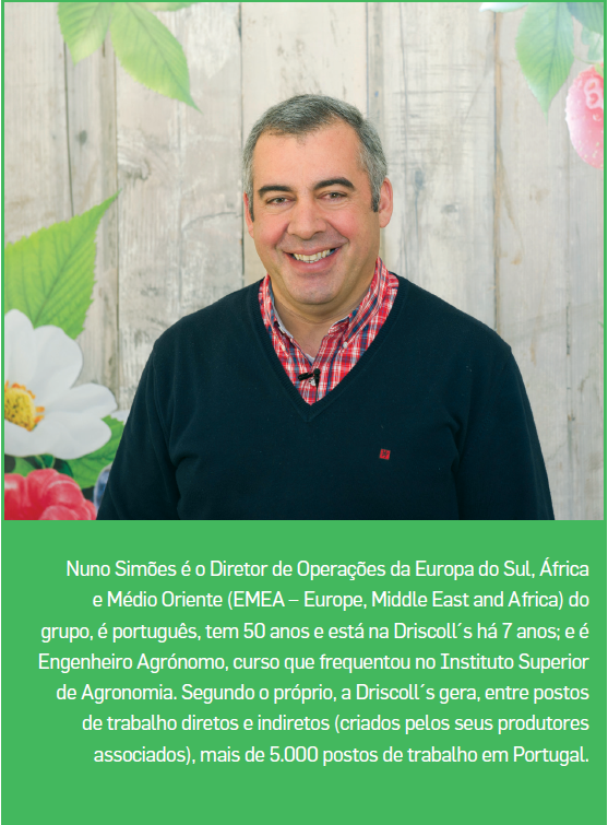 nuno-simoes-driscolls