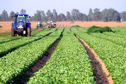 agricultura-israel