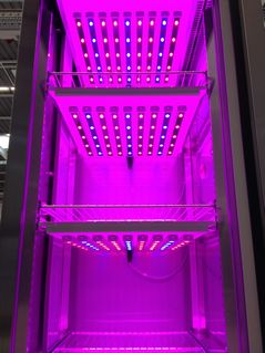 indoor-farming-2