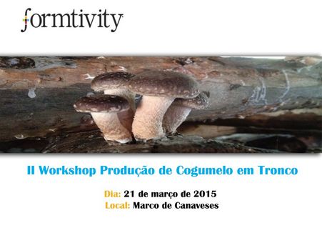 workshop-cogumelos-em-tronco