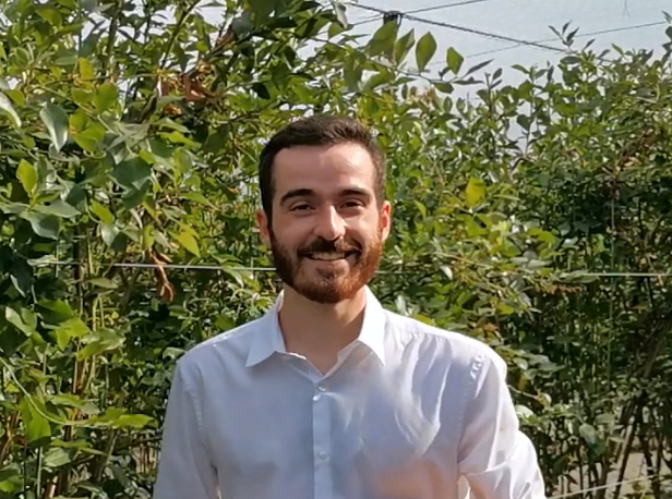 Daniel Ferreira