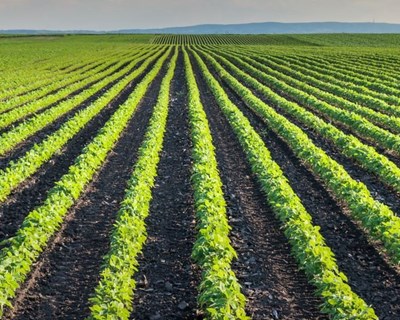 1ª Edição Expo Agribar: Feira de Campo do Norte 2022
