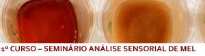 1.º Curso/Seminário de Análise Sensorial de Mel