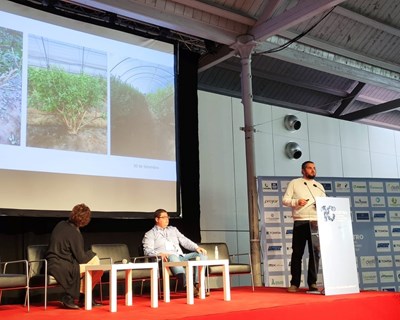 10º Encontro Nacional de Produtores de Mirtilo: Retrato de uma década de fileira