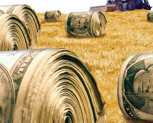 12 dados chave da agricultura norte-americana