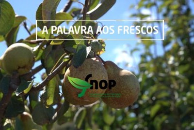 14º episódio d’ A Palavra aos Frescos apresentamos a Organização de Produtores FRUTOESTE